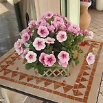 A Casa Di Manu Bed & Breakfast 2*