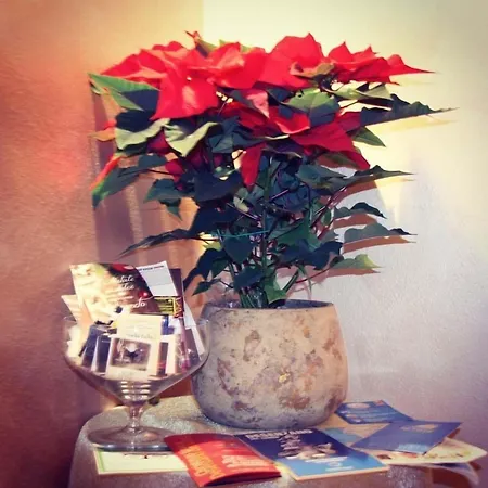 Bed & Breakfast A Casa Di Manu 2*