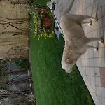 A Casa Di Manu