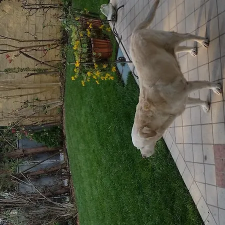 A Casa Di Manu