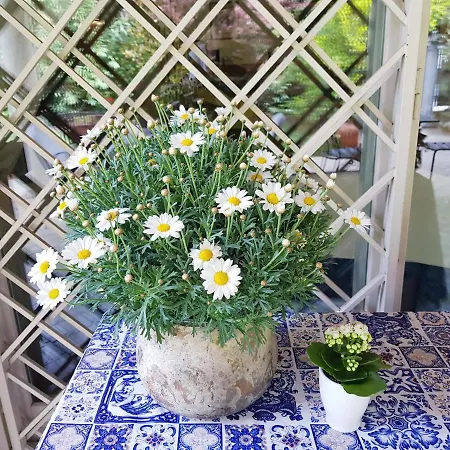 A Casa Di Manu